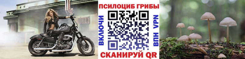 OMG зеркало  Мариинский Посад  Галлюциногенные грибы мухоморы 